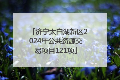 济宁太白湖新区2024年公共资源交易项目121项