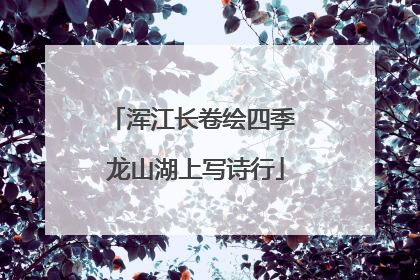 浑江长卷绘四季 龙山湖上写诗行