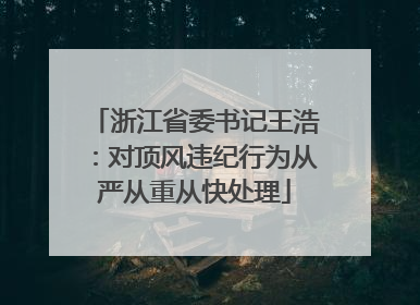 浙江省委书记王浩：对顶风违纪行为从严从重从快处理