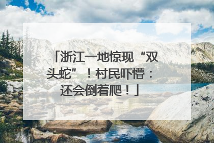 浙江一地惊现“双头蛇”！村民吓懵：还会倒着爬！