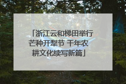 浙江云和梯田举行芒种开犁节 千年农耕文化续写新篇