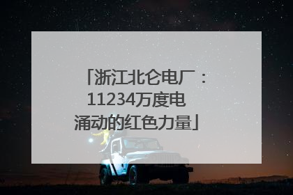 浙江北仑电厂：11234万度电涌动的红色力量