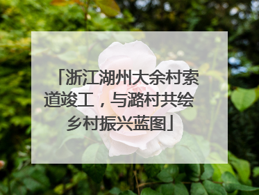浙江湖州大余村索道竣工，与潞村共绘乡村振兴蓝图