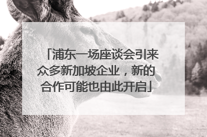 浦东一场座谈会引来众多新加坡企业，新的合作可能也由此开启