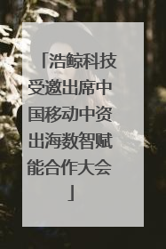 浩鲸科技受邀出席中国移动中资出海数智赋能合作大会