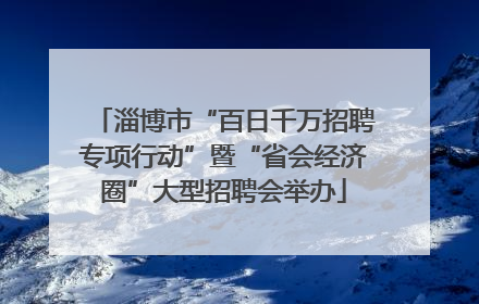淄博市“百日千万招聘专项行动”暨“省会经济圈”大型招聘会举办