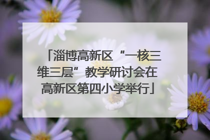 淄博高新区“一核三维三层”教学研讨会在高新区第四小学举行