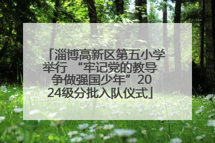 淄博高新区第五小学举行 “牢记党的教导 争做强国少年”2024级分批入队仪式