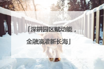 深耕园区赋动能，金融滴灌新长海