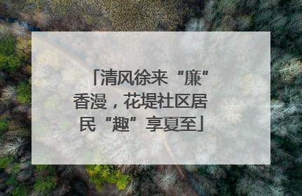 清风徐来“廉”香漫，花堤社区居民“趣”享夏至