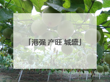 港强 产旺 城盛