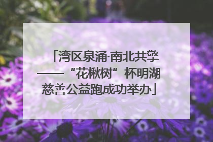 湾区泉涌·南北共擎——“花楸树”杯明湖慈善公益跑成功举办