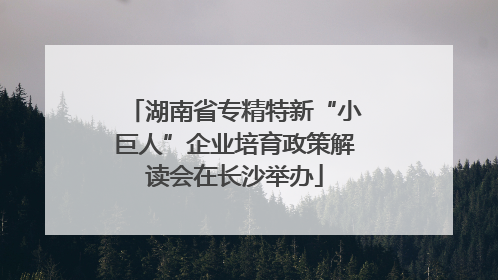 湖南省专精特新“小巨人”企业培育政策解读会在长沙举办