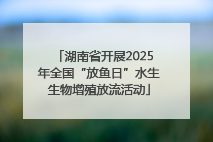 湖南省开展2025年全国“放鱼日”水生生物增殖放流活动