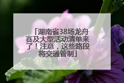 湖南省38场龙舟赛及大型活动清单来了！注意，这些路段将交通管制