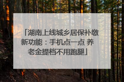 湖南上线城乡居保补缴新功能：手机点一点 养老金提档不用跑腿