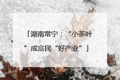 湖南常宁：“小茶叶”成富民“好产业”