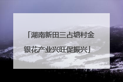 湖南新田三占塘村金银花产业兴旺促振兴