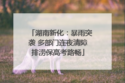 湖南新化：暴雨突袭 多部门连夜清障排涝保高考路畅
