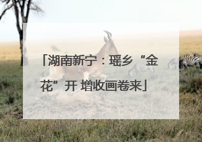 湖南新宁：瑶乡“金花”开 增收画卷来