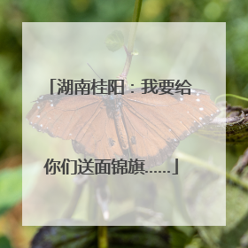湖南桂阳：我要给你们送面锦旗……