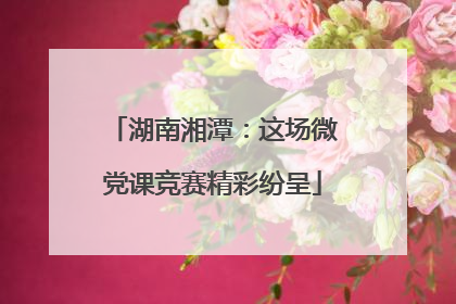 湖南湘潭：这场微党课竞赛精彩纷呈