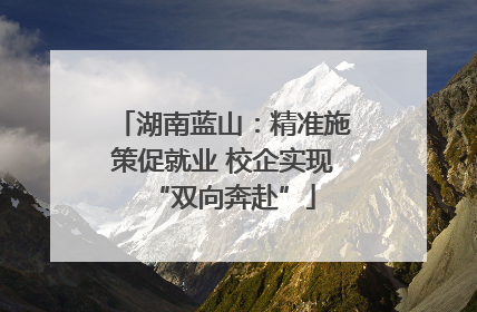 湖南蓝山：精准施策促就业 校企实现“双向奔赴”