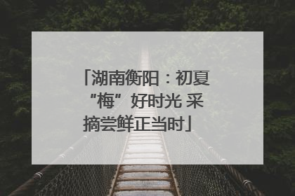 湖南衡阳：初夏“梅”好时光 采摘尝鲜正当时