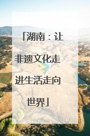 湖南：让非遗文化走进生活走向世界