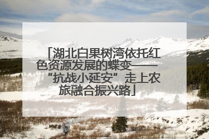 湖北白果树湾依托红色资源发展的蝶变——“抗战小延安”走上农旅融合振兴路