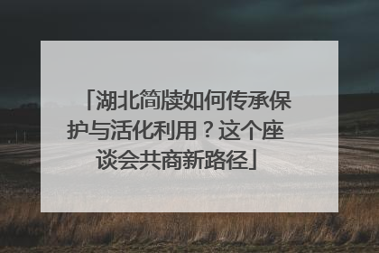 湖北简牍如何传承保护与活化利用？这个座谈会共商新路径