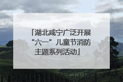 湖北咸宁广泛开展“六一”儿童节消防主题系列活动