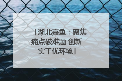 湖北嘉鱼：聚焦痛点破难题 创新实干优环境