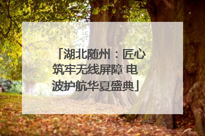 湖北随州：匠心筑牢无线屏障 电波护航华夏盛典