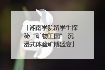 湘南学院留学生探秘“矿物王国” 沉浸式体验矿博盛宴