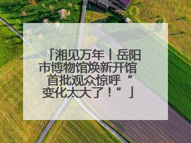 湘见万年丨岳阳市博物馆焕新开馆 首批观众惊呼“变化太大了！”