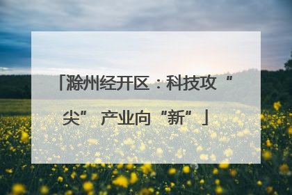 滁州经开区：科技攻“尖” 产业向“新”
