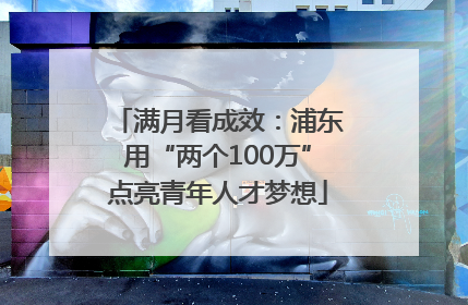 满月看成效：浦东用“两个100万”点亮青年人才梦想