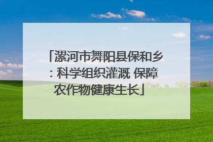 漯河市舞阳县保和乡：科学组织灌溉 保障农作物健康生长
