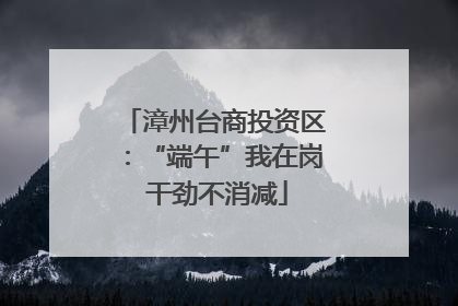 漳州台商投资区：“端午”我在岗 干劲不消减