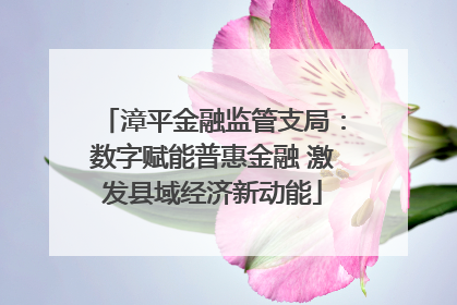 漳平金融监管支局：数字赋能普惠金融 激发县域经济新动能