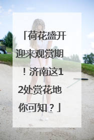 荷花盛开迎来观赏期！济南这12处赏花地你可知？