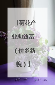 荷花产业助致富（侨乡新貌）