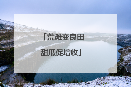 荒滩变良田 甜瓜促增收