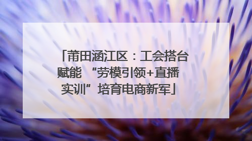 莆田涵江区：工会搭台赋能 “劳模引领+直播实训”培育电商新军