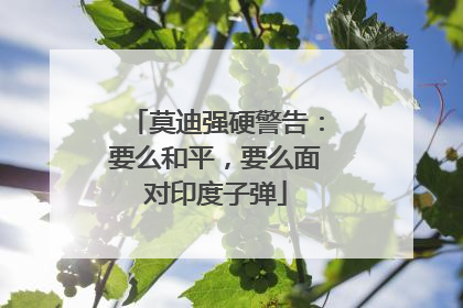 莫迪强硬警告：要么和平，要么面对印度子弹
