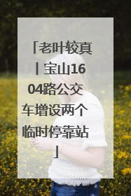 老叶较真丨宝山1604路公交车增设两个临时停靠站