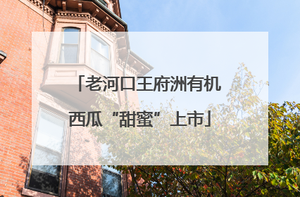 老河口王府洲有机西瓜“甜蜜”上市