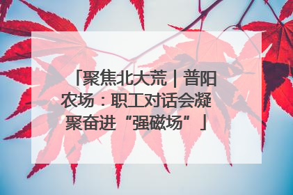 聚焦北大荒｜普阳农场：职工对话会凝聚奋进“强磁场”