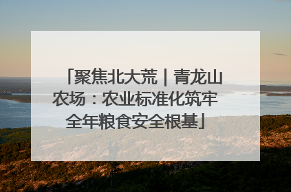 聚焦北大荒｜青龙山农场：农业标准化筑牢全年粮食安全根基